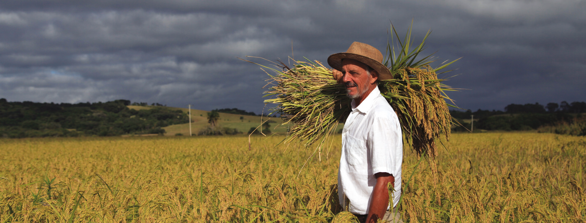 Farmer in field