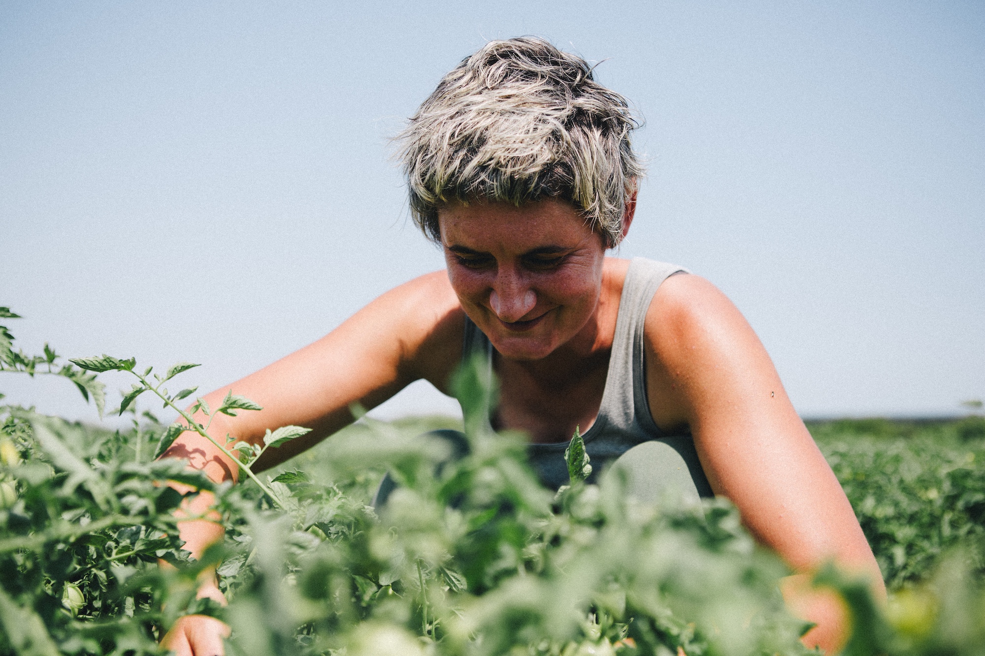 Biodynamic farmer in the field