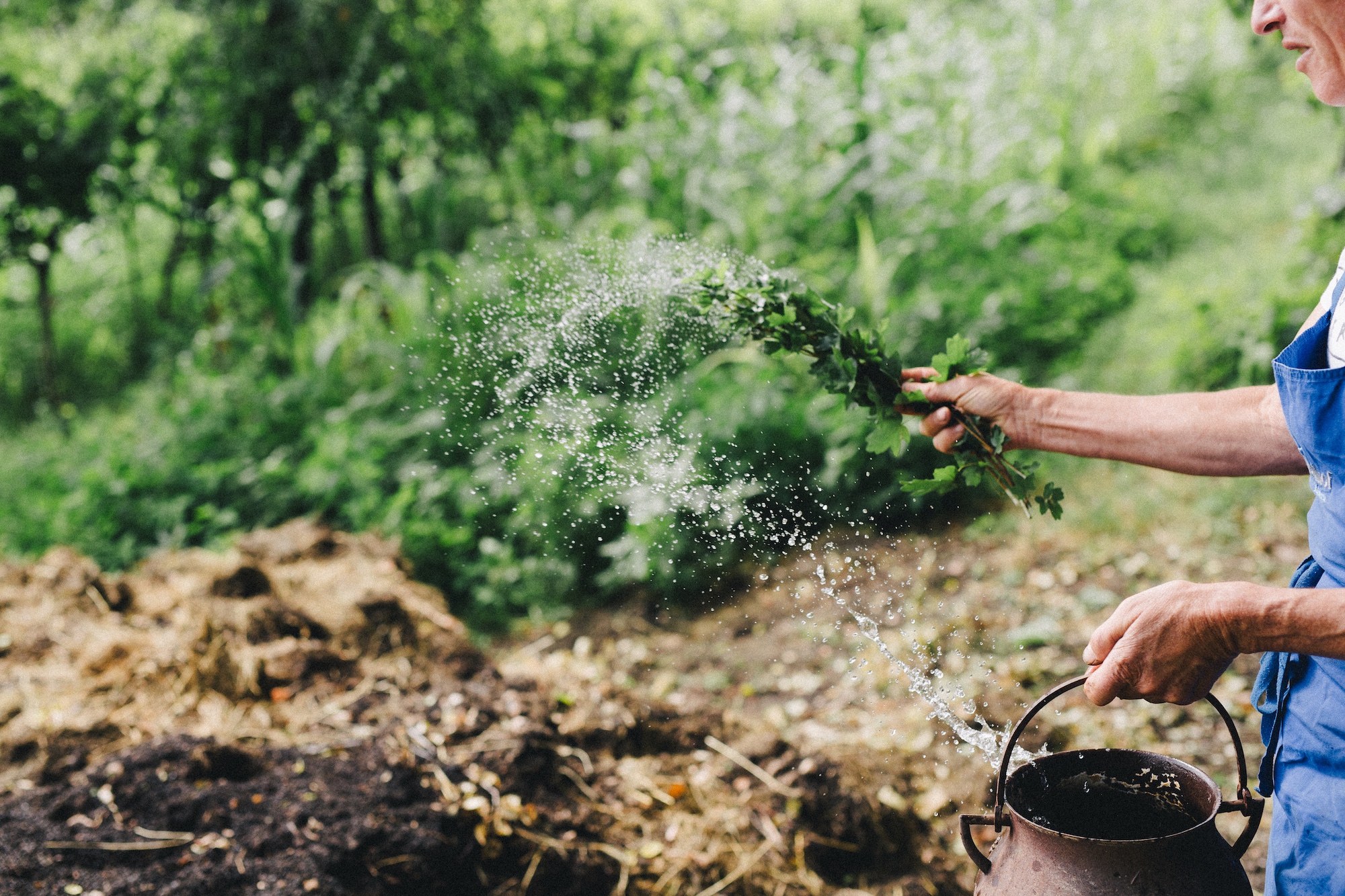 Application of Biodynamic preparation