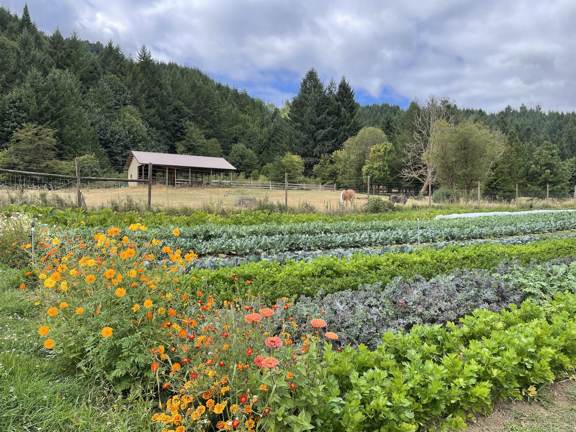 Goodfoot Farm, Kings Valley, Oregon