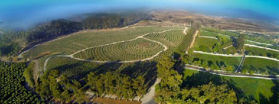 Biodynamic is...the gold standard of farming that heals the planet through conscious agriculture. Apricot Lane • Moorpark, CA